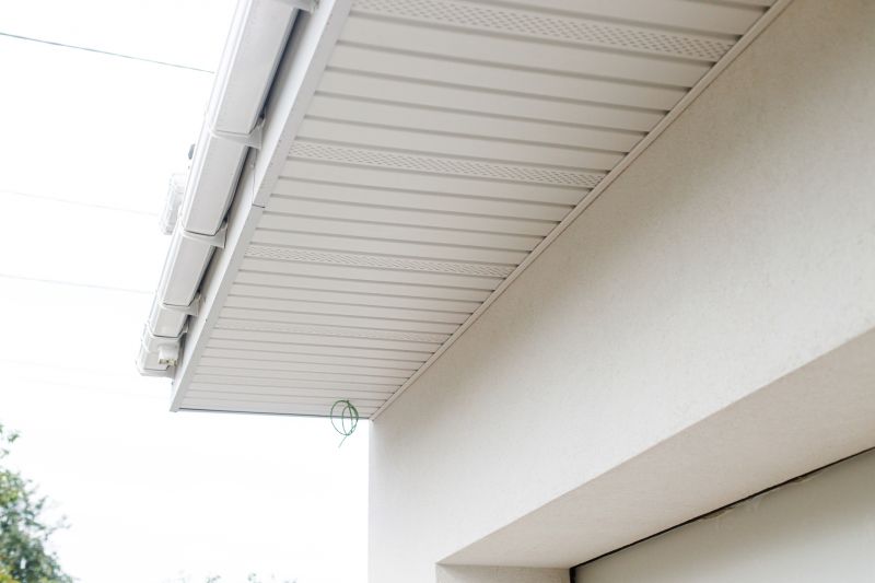 Vinyl Molding Repair in Olathe, KS